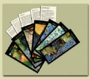 Wine cards, wine calendars, wine guides for wine tasting and wine education.