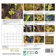vinifera wine calendar 2011