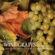 Wine 2011 Wall Calendar Vinifera
