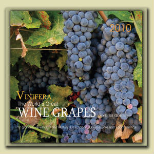 Wine cards, wine calendars, wine guides for wine tasting and wine education.